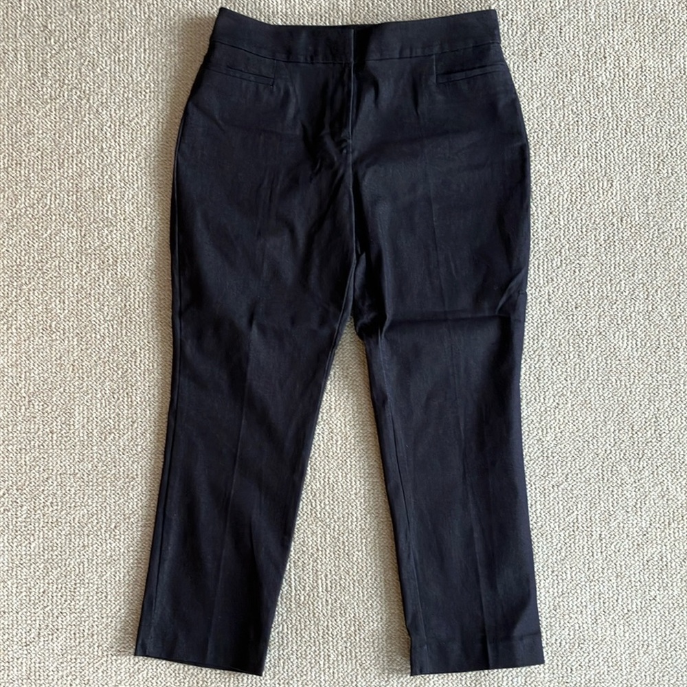Ann Taylor Factory Polished Denim Ankle Pants